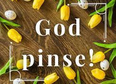 god pinse1.jpg